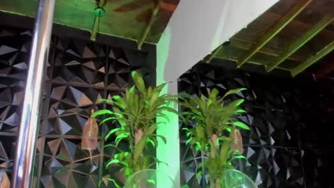 rihanna online show from 12/05/24, 09:50