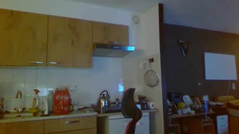 rikkerd55 online show from 01/05/26, 05:27