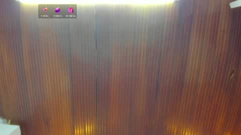 Snapshot of riley_reid_19 chatting on 12/15/24, 03:02 kamila online show from 12/15/24, 03:02