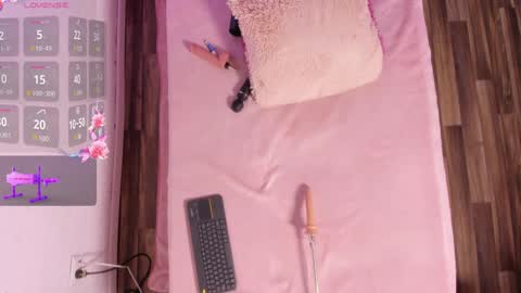 Snapshot of riley_reid_19 chatting on 12/22/24, 06:28 kamila online show from 12/22/24, 06:28
