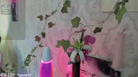 My name is Riley Like my broadcast pls 3 online show from 07/25/26, 03:15