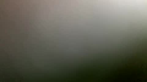 rimzari136 online show from 04/04/26, 04:26