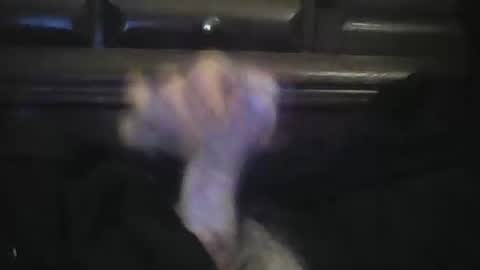 rlpl online show from 02/23/26, 06:05