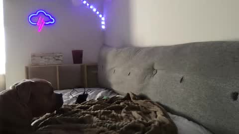 Snapshot of roastingcorn chatting on 01/03/25, 10:29 RoastingCorn online show from 01/03/25, 10:29