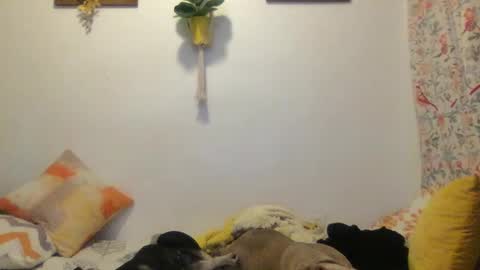 Snapshot of roastingcorn chatting on 03/11/25, 03:59 RoastingCorn online show from 03/11/25, 03:59