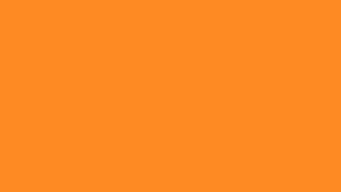 robb_strk online show from 08/01/26, 11:36