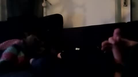 robbdmser3454 online show from 03/06/26, 08:55