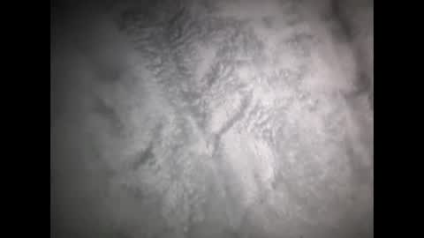 robertsaiz4200 online show from 03/15/26, 08:31