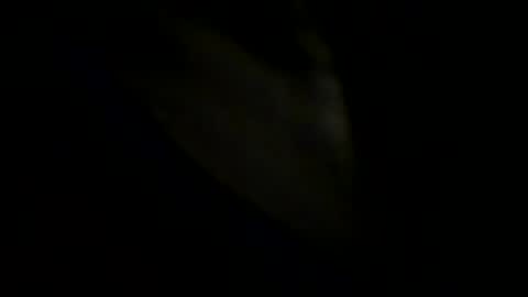 Johnny online show from 05/31/26, 06:09