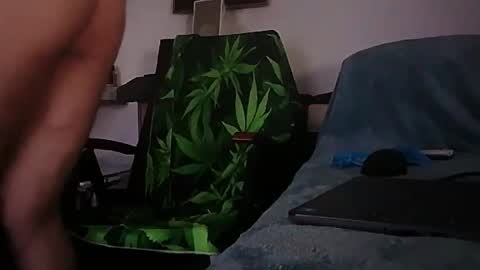 Snapshot of robertxxxpo chatting on 02/01/26, 08:02 Zenek online show from 02/01/26, 08:02