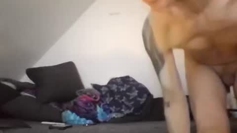 Snapshot of robertxxxpo chatting on 02/26/26, 08:13 Zenek online show from 02/26/26, 08:13