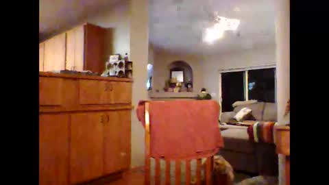 robo0000 online show from 11/20/25, 01:06