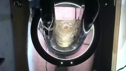 Robodickmilker online show from 09/16/25, 07:04