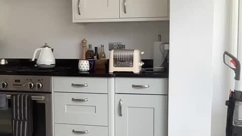 Snapshot of robsmile22000 chatting on 09/12/25, 11:10 Robs sensuous cam for discerning ladies online show from 09/12/25, 11:10