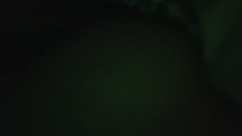 Snapshot of rocce4147 chatting on 08/07/26, 04:58 rocce4147 online show from 08/07/26, 04:58