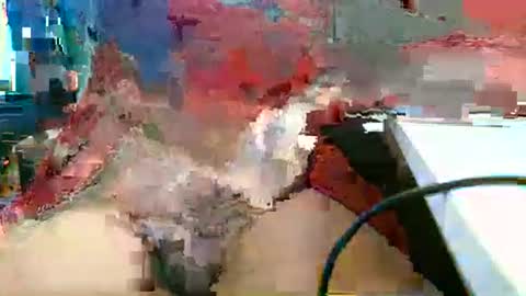 Rocco  aka DaddyRoc online show from 03/01/26, 01:13