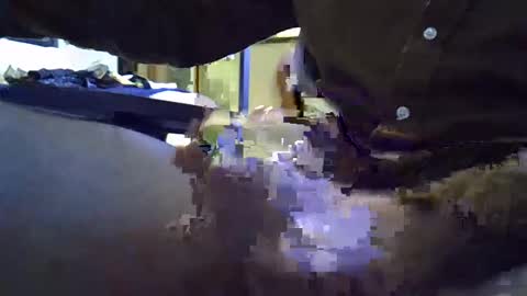 rocco981980 online show from 01/08/25, 12:06