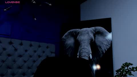 rocco_santos online show from 09/17/25, 08:27