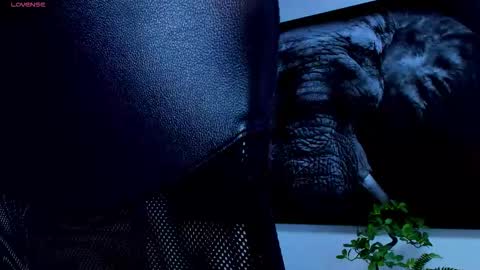 Snapshot of roccosaints_1 chatting on 02/25/26, 06:01 santos online show from 02/25/26, 06:01