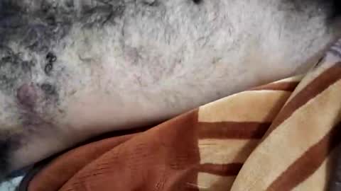 Snapshot of rockyp2025 chatting on 03/03/25, 12:05 rockyp2025 online show from 03/03/25, 12:05