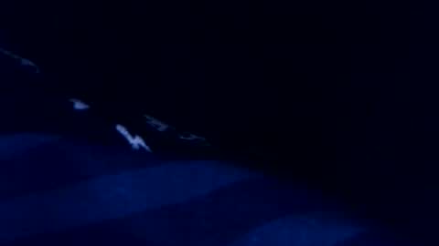 romain online show from 03/03/26, 08:48