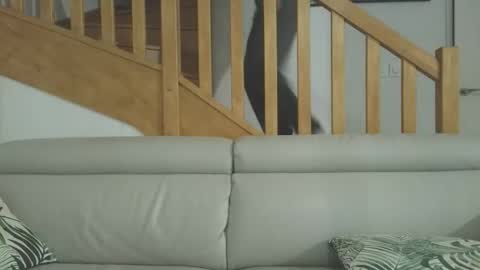 Romain online show from 03/03/26, 06:47