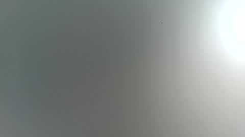 Snapshot of romeomustcum2016 chatting on 11/22/25, 04:22 Trinked online show from 11/22/25, 04:22