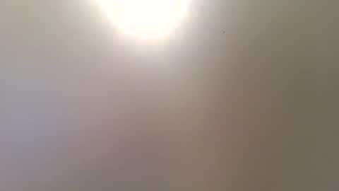 Snapshot of romeomustcum2016 chatting on 12/16/25, 10:31 Trinked online show from 12/16/25, 10:31