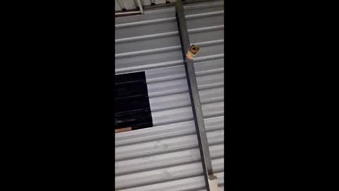 Snapshot of ronabater chatting on 01/11/26, 08:36 ronabater online show from 01/11/26, 08:36