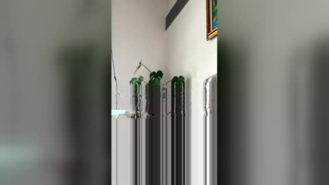 Roni Hall online show from 03/29/26, 06:08