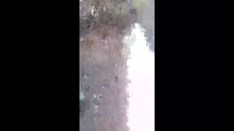 ronni_ga online show from 05/10/26, 10:26