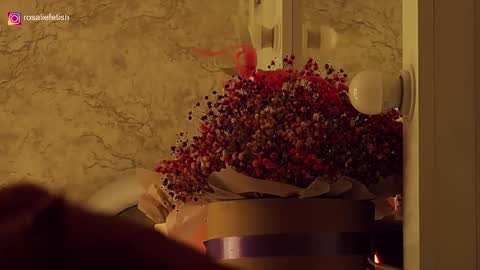 Rosalie online show from 11/12/25, 11:25