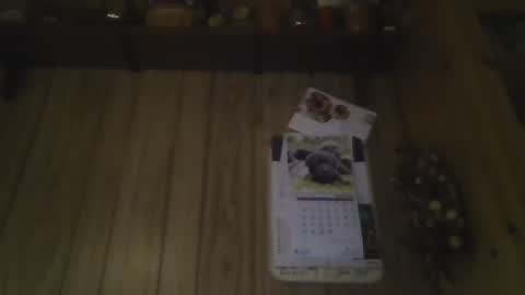 roses2u1958 online show from 01/01/25, 08:04