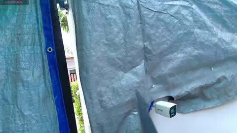 Rosy Shy online show from 04/03/26, 05:49