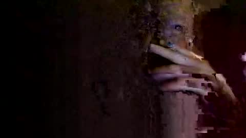 Snapshot of rotorranch chatting on 10/02/25, 06:31 rotorranch online show from 10/02/25, 06:31