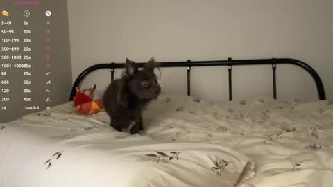  - my telegram channel online show from 10/23/25, 06:06