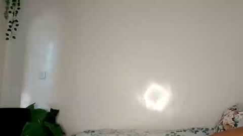 roundbootie online show from 04/26/26, 11:08