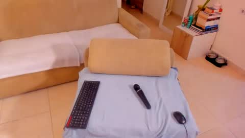 Snapshot of rous_r chatting on 06/27/26, 03:55 Rous online show from 06/27/26, 03:55