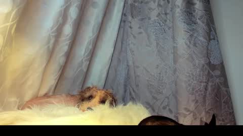 Rosita online show from 02/26/26, 06:01