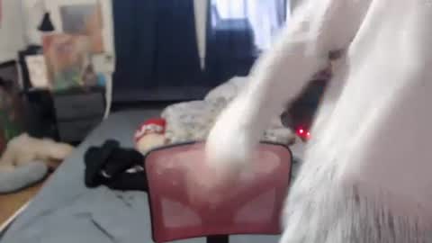 Snapshot of roxanneroulette chatting on 02/16/25, 03:16 Silver online show from 02/16/25, 03:16