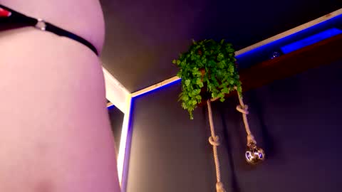 Roxx IG  online show from 11/30/25, 10:47