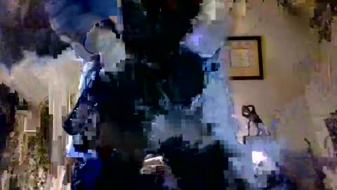 Snapshot of royboy2561 chatting on 10/12/25, 07:18 Roy Murrin online show from 10/12/25, 07:18