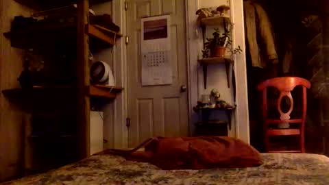 rp131313 online show from 11/15/25, 08:11