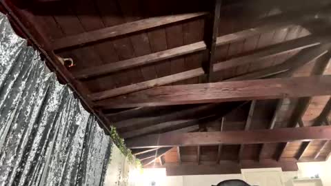 Richhancocc online show from 01/19/26, 01:15