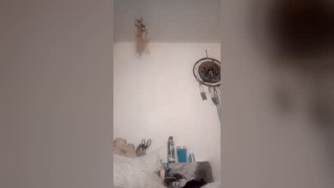 Snapshot of rraineonme chatting on 06/19/26, 07:56 rraineonme online show from 06/19/26, 07:56