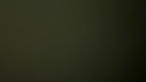 Snapshot of rsxxx130 chatting on 02/19/25, 02:33 ireneTxCD online show from 02/19/25, 02:33