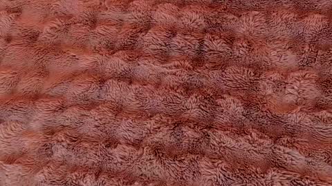 Ruby Luxe online show from 04/05/26, 04:53