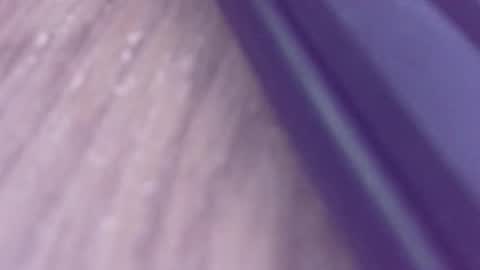 rudiandhisdick online show from 03/26/26, 01:17