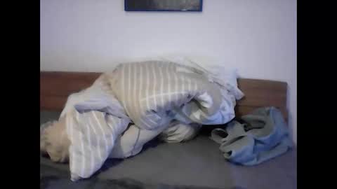 rudolf28 online show from 04/01/26, 11:44