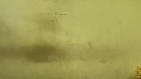 Rupali online show from 12/20/25, 04:19